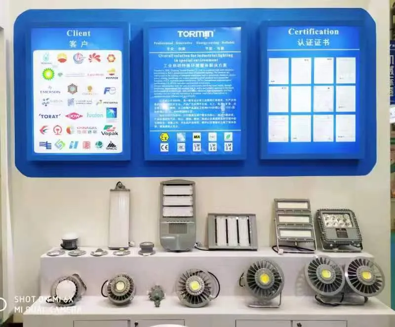 TORMIN exhibition display — ICIF China 2019, Shanghai, China.