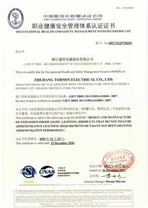 OHSAS18001 2007 — archive scan