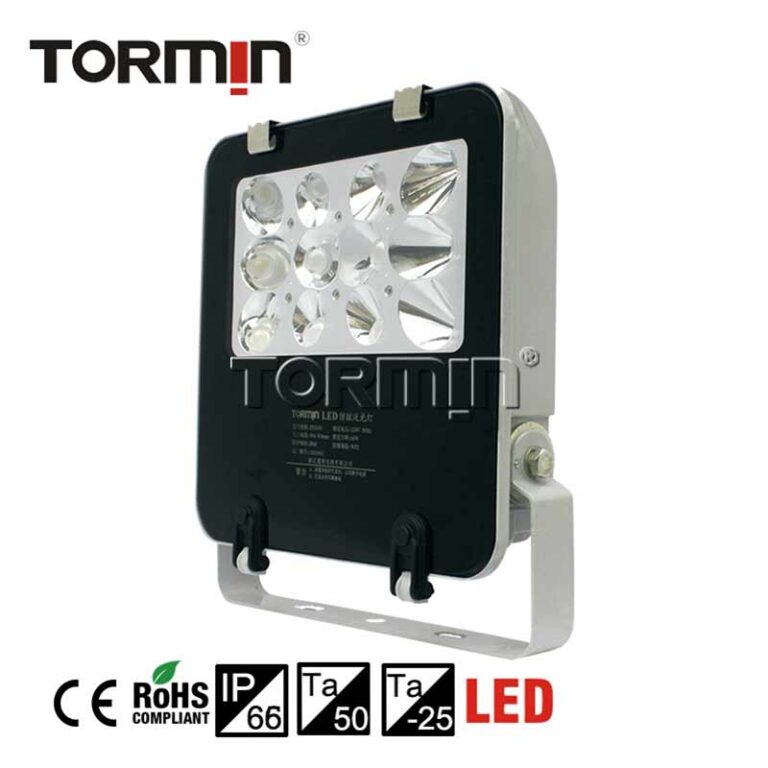 ZY8101A / ZY8101B — Emergency LED floodlight
