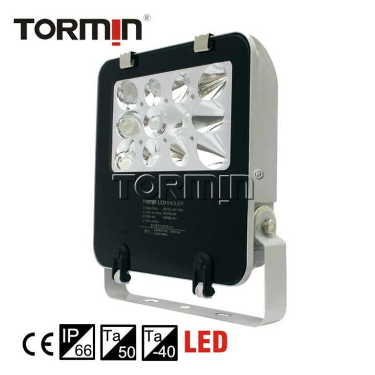 ZY8101 Series — Fixed LED floodlight