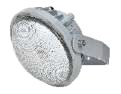 BC9313P / BC9313S Explosion-Proof Area Light