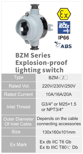 BZM original catalogue specification table; open the full-size image or download the catalogue for configuration details.