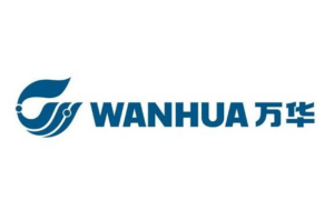 Wanhua logo