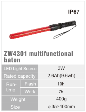 ZW4301 original catalogue specification table; open the full-size image or download the catalogue for configuration details.
