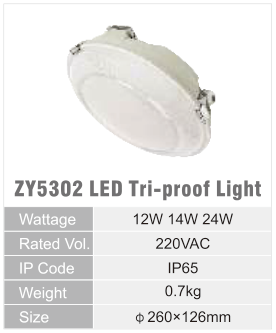 ZY5302 original catalogue specification table; open the full-size image or download the catalogue for configuration details.