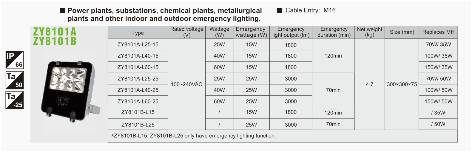 ZY8101A / ZY8101B original catalogue specification table; open the full-size image or download the catalogue for configuration details.