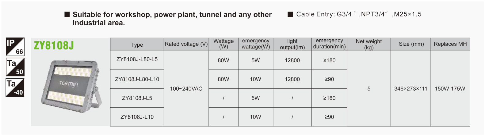 ZY8108J original catalogue specification table; open the full-size image or download the catalogue for configuration details.