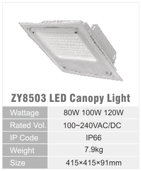ZY8503 original catalogue specification table; open the full-size image or download the catalogue for configuration details.